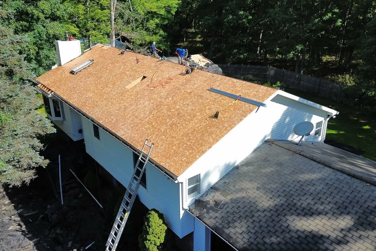 Three crew members working on a roof stripped back to bare decking, ladder set against the eaves